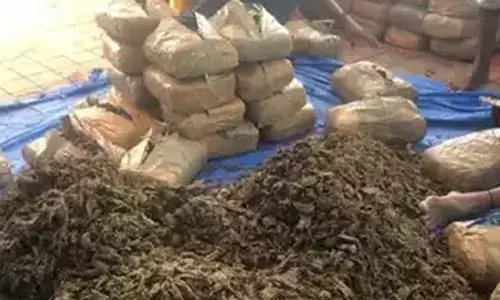 For representational purpose