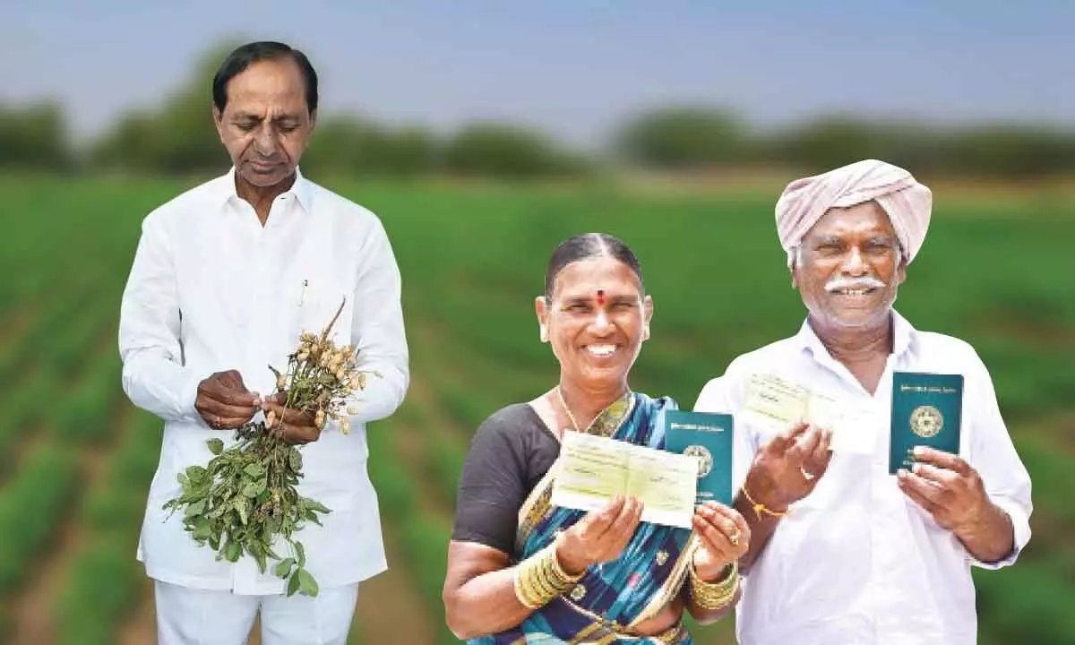 Telangana once barren land, turns into rice bowl of nation