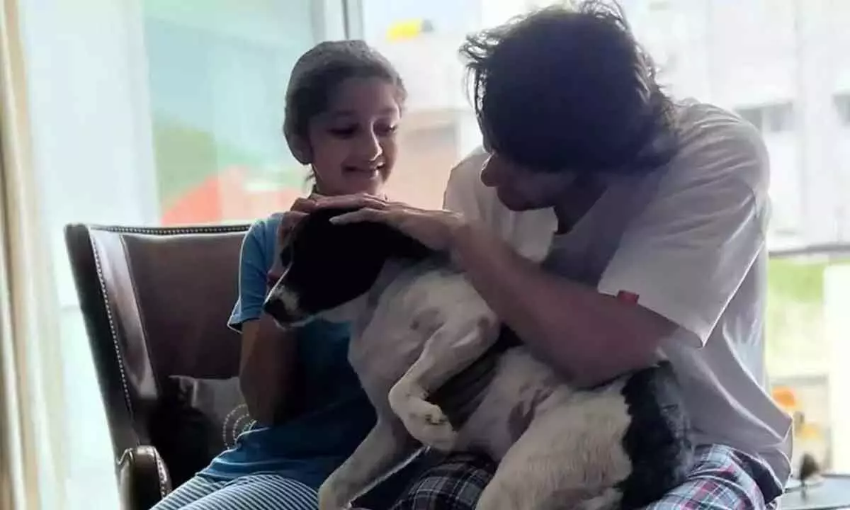 Mahesh Babu turns emotional after the death of his pet Pluto; shares a touching picture