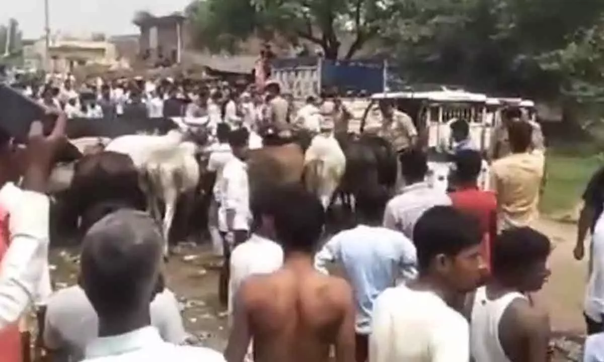 Uttar Pradesh minister  Dharampal Singh faces protest by and against stray cattle