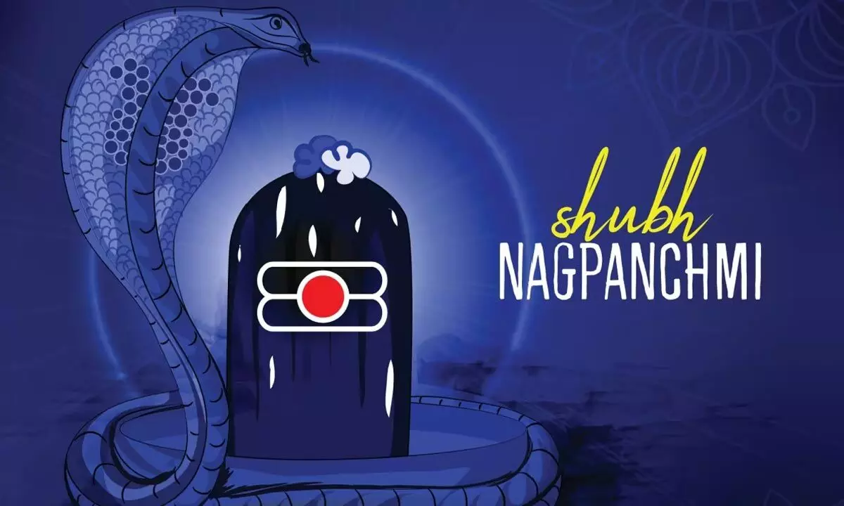 Do’s and Don’ts of Nag Panchami: Essential Guidelines for a Meaningful Celebration