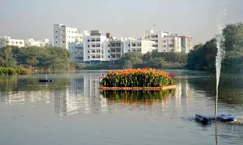 Hyderabad: Neknampur Lake wins accolades from Niti Aayog for restoration
