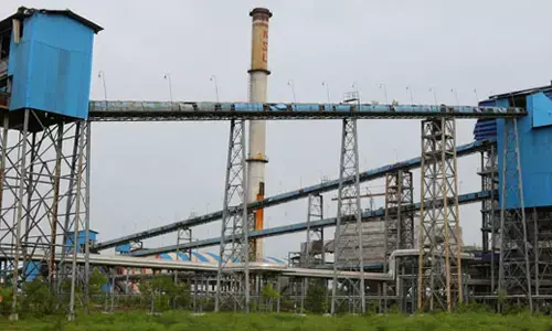 NSL Sugars looks to crush 50L tonne cane