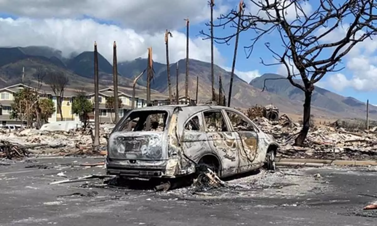 Death toll from Hawaii wildfires reach 114 as search for victims continues