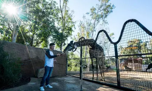 Six Kid-Friendly Places in USA that Inspire Young Minds