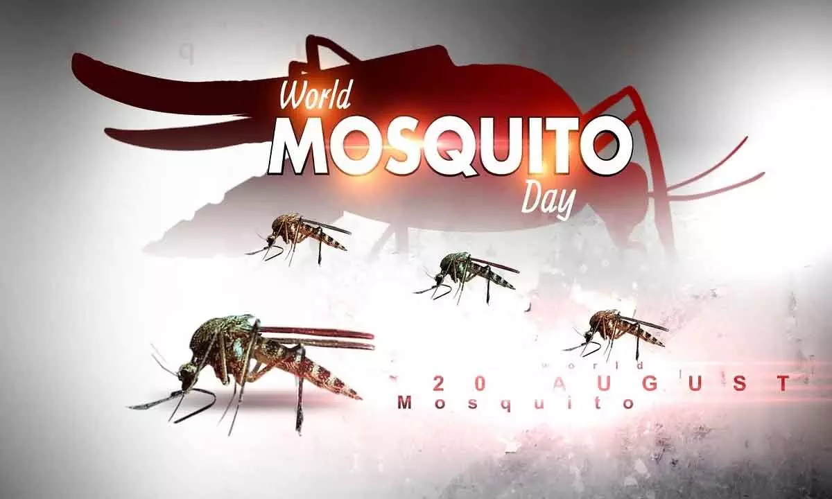 ‘World Mosquitoes Prevention Day’ today