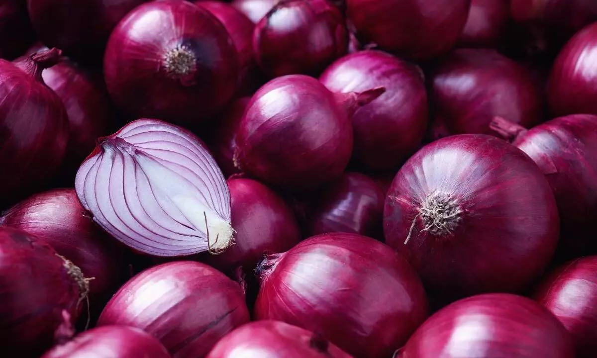 Govt slaps 40% export duty on onions