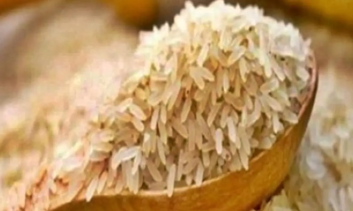 Despite crop loss over drought, Sri Lanka rules out rice shortage