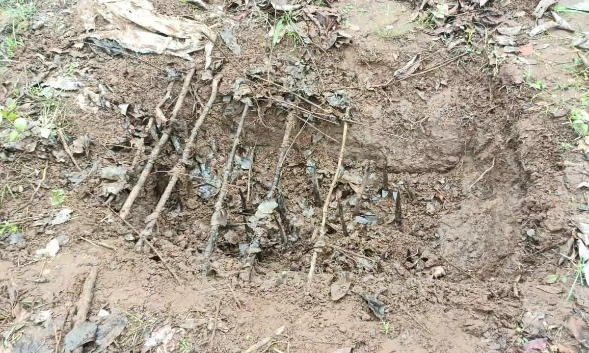 The location where booby trap was laid in Mallampet forest area of Chinturu  mandal