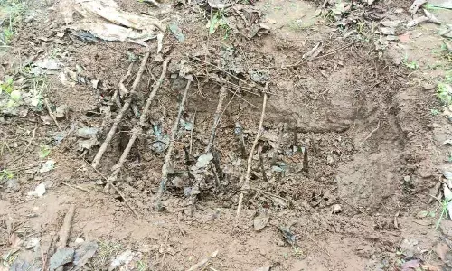 The location where booby trap was laid in Mallampet forest area of Chinturu  mandal