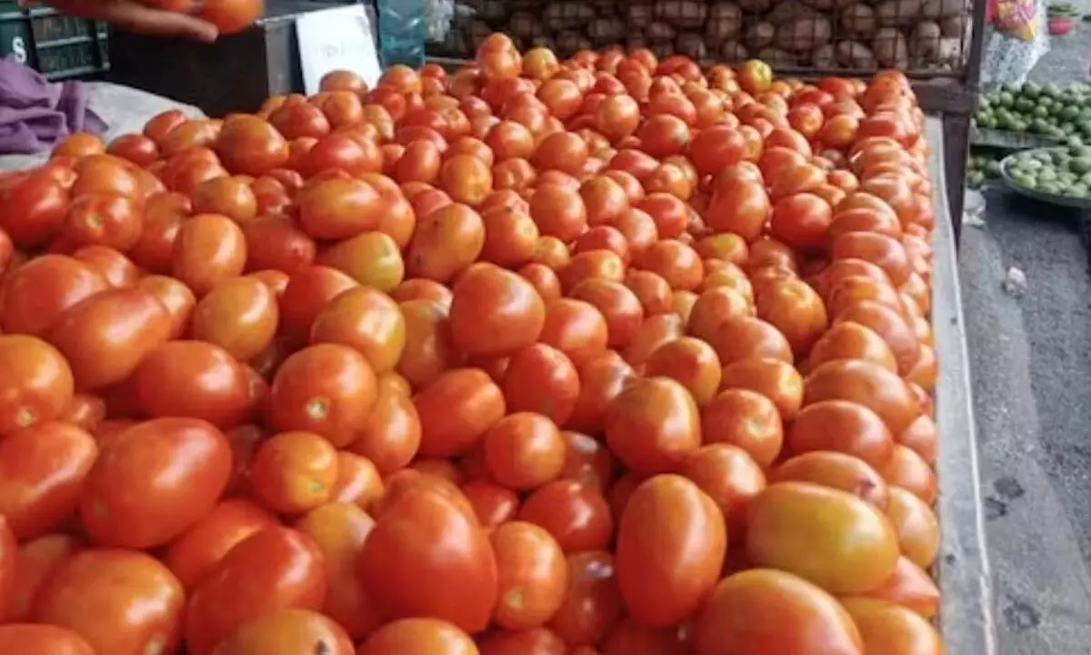 Tomato prices cooling down with fresh arrival; retail prices in range of Rs 50-70 per kg now: Govt