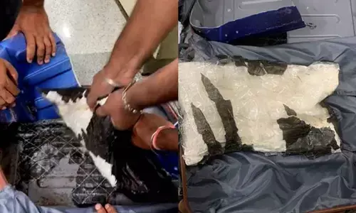 Directorate of Revenue Intelligence arrests 2 with Amphetamine worth Rs 16.72 crore