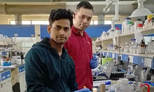 IIT Bhilai-led team develops new hydrogel-based insulin-delivery system