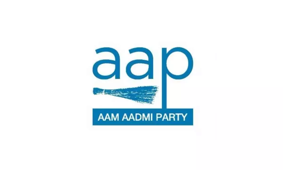 AAP questions Center on minor girl rape case by issuing statement