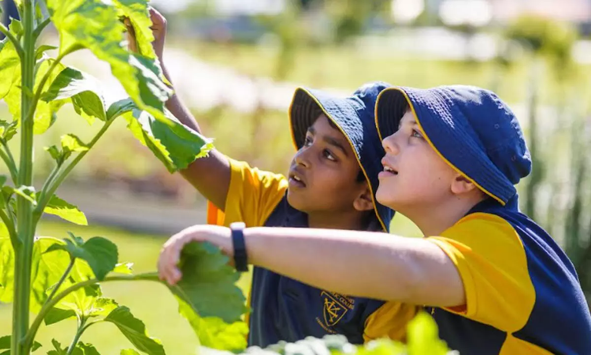 Environmental education in the New Education Policy