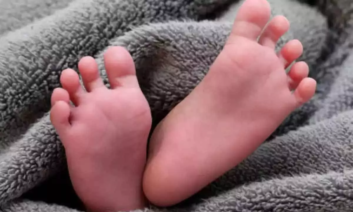 7 infants death worries Kamareddy