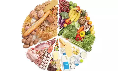 Different food groups that make up a balanced diet