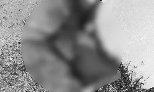 Jilted lover knives girl