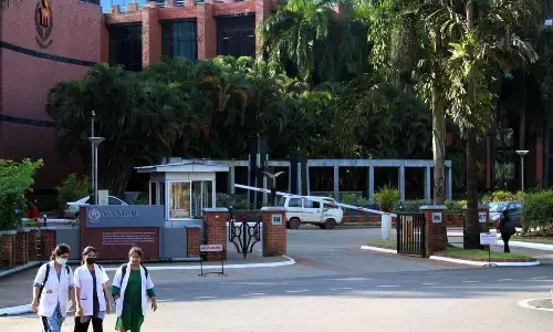 A Silent Threat to Male Reproductive Health: New Study Raises Concerns About Common Herbicide Clethodim