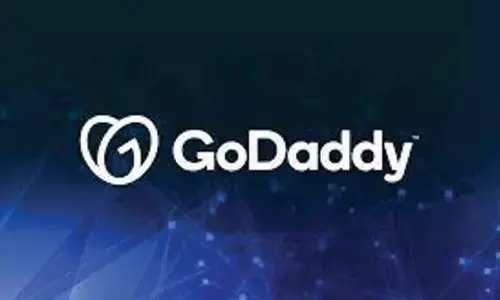 Majority of Indian small businesses plan website investments: GoDaddy study 2023