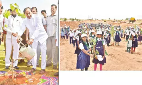 CM KCR to launch programme of planting 1 cr saplings tomorrow