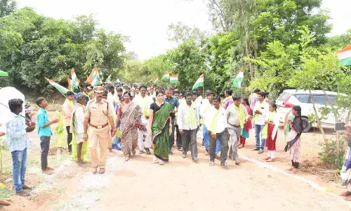 20000 Saplings were planted in Azadi ka amrit mahotsav programme DC