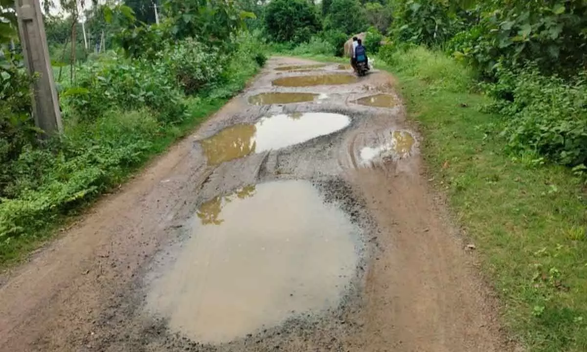 Srikakulam: A back-breaking gruelling journey on rural roads