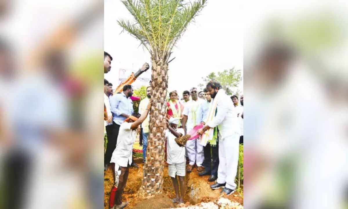 Palamuru targets to plant 55 lakh saplings