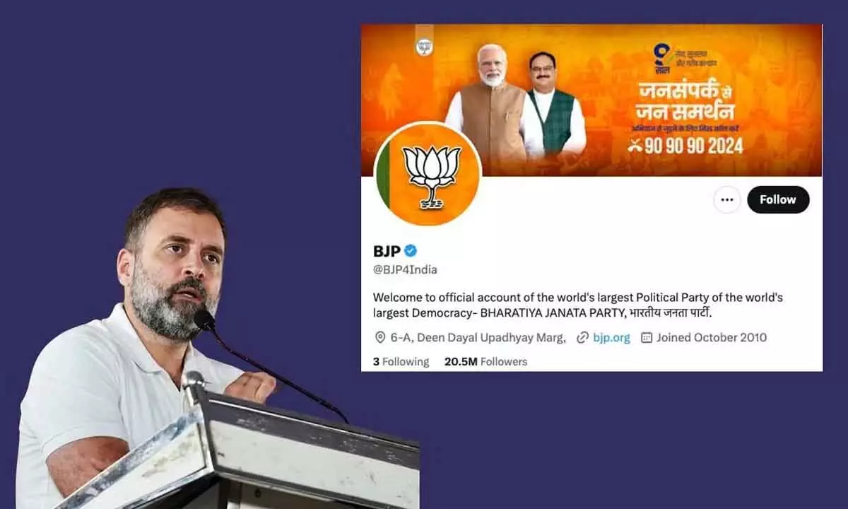 BJP Mocks Rahul Gandhis Candidacy With Cartoon Amidst INDIAs Nomination Announcement