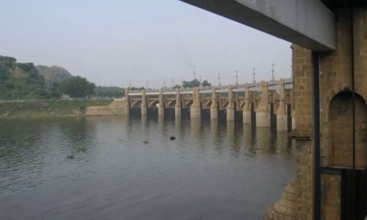 Tamil Nadu govt rejects water depts proposal to desilt dams due to funds shortage