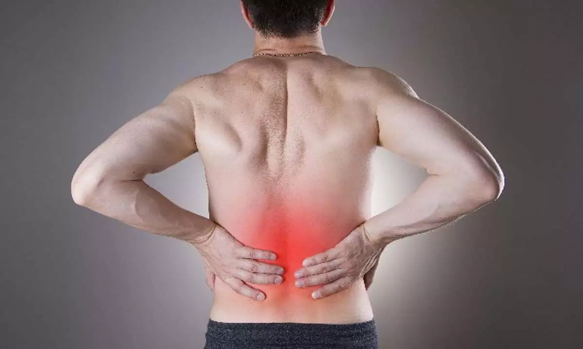 Workshop on low back pain, spinal deformities held