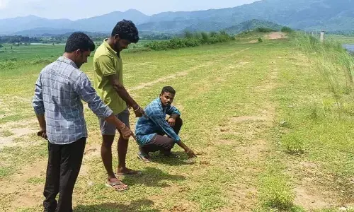 Locals showing pug marks of tiger on Vamsadhara reservoir bund at Hiramandal