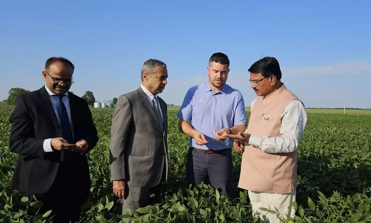 Agri sector should flourish as industry: Singireddy