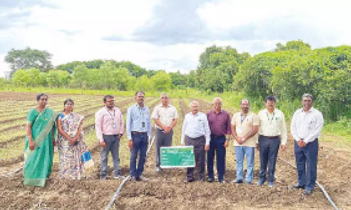 ICAR team reviews horticulture crop sat VRS, Rajendranagar