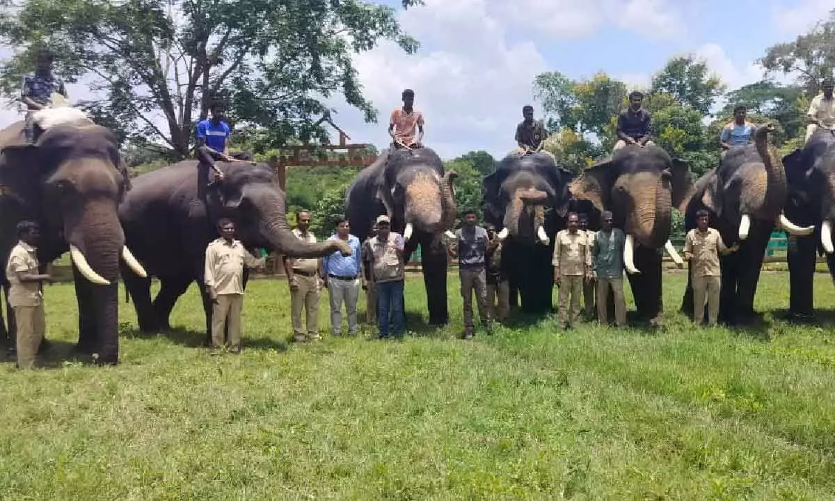 Mysuru Dasara 2023: Majestic march of elephants begins in Ktaka