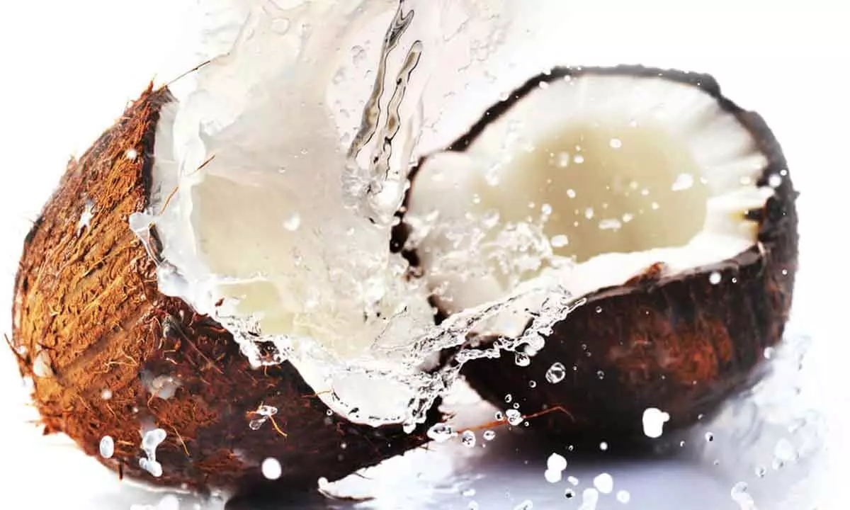 World Coconut Day