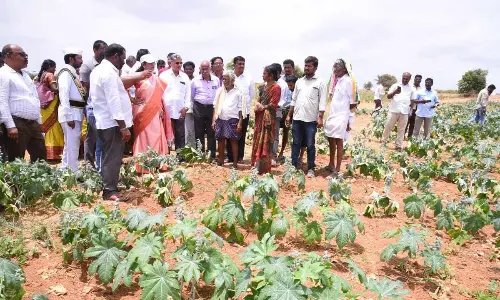 Anantapur: Collector hails AF Ecology Centre for providing protective irrigation