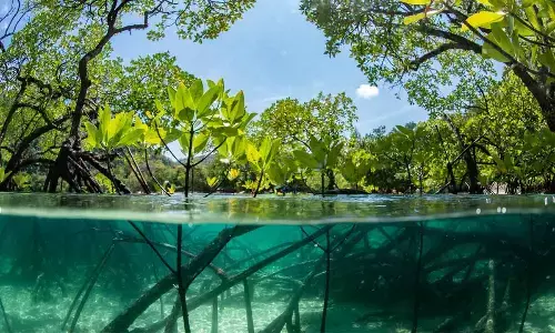 Calamitous threat to coastal systems