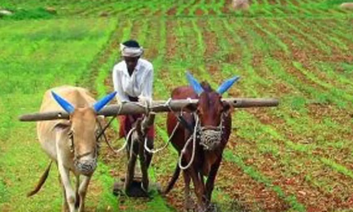 Technical hindrances to loan waiver in Telangana state