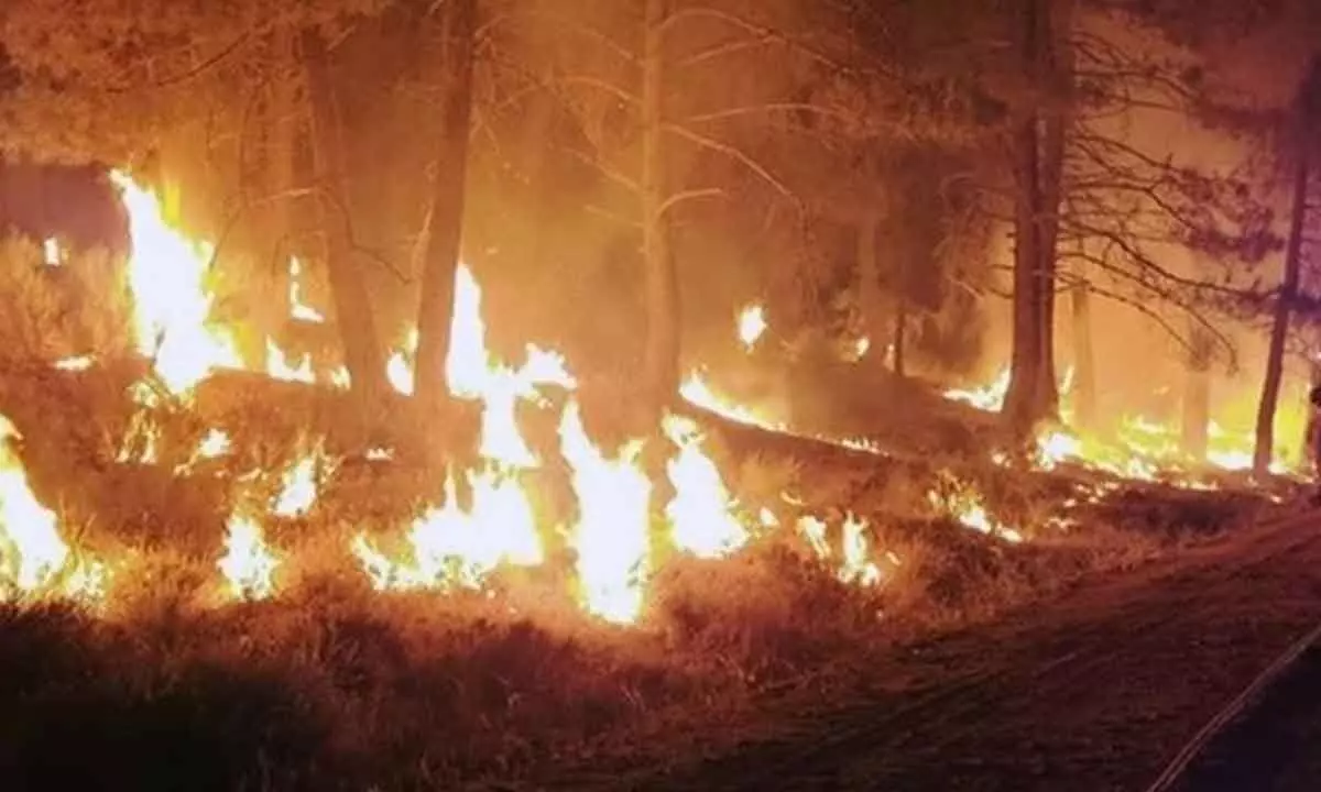 Fast-spreading wildfire forces evacuation in Texas