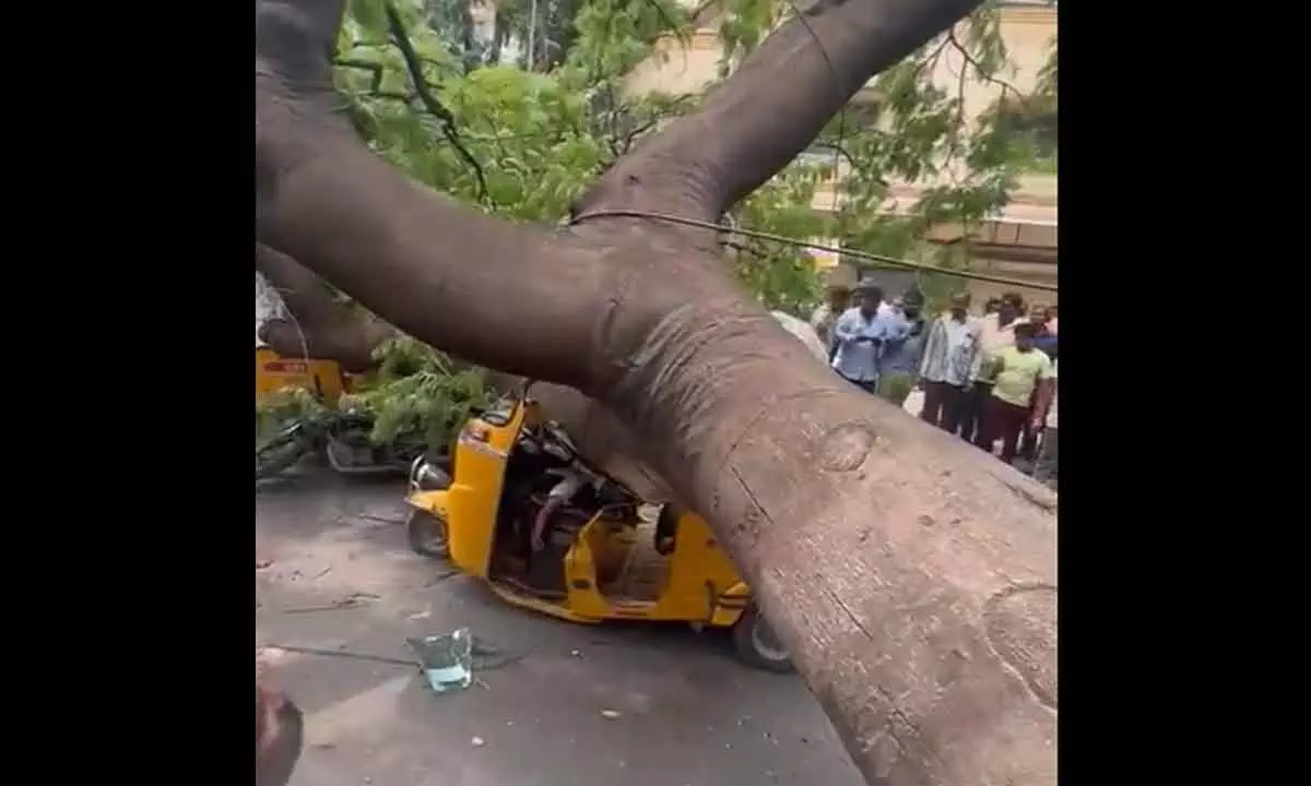 Hyderabad: Tree falls on a parked auto in Hyderguda, one dead