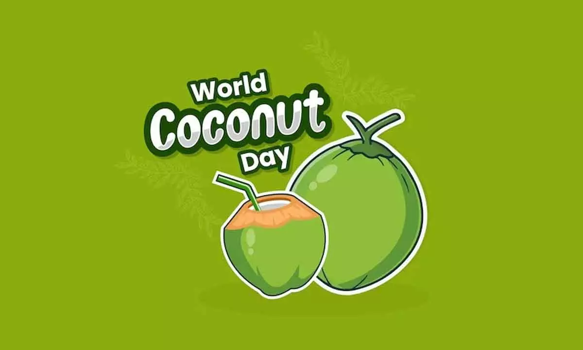 World Coconut Day 2023: Theme, History, Significance and 10 Key Facts About Nariyal