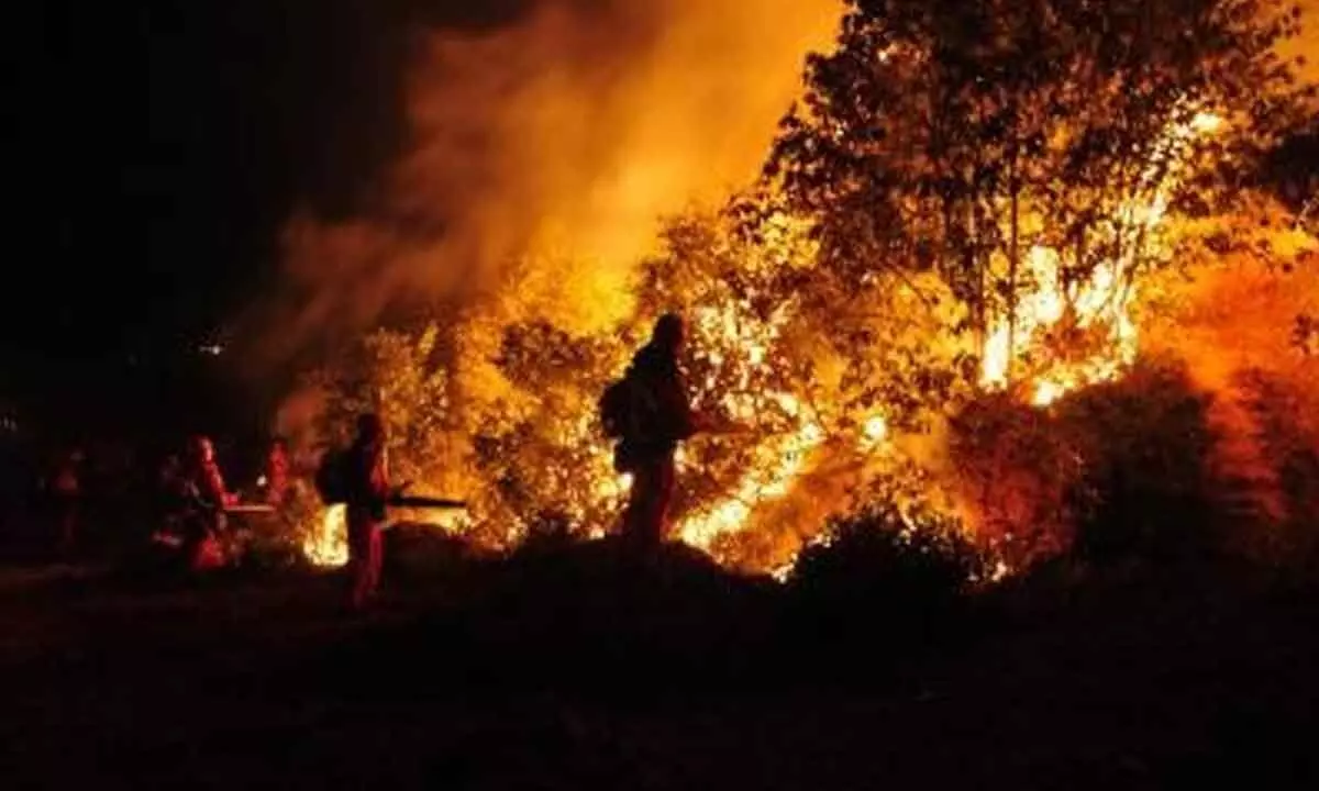 Hawaii wildfire: 385 people remain missing