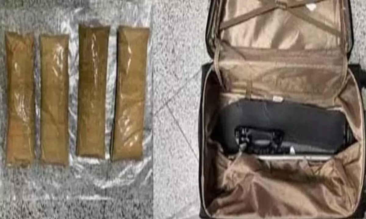 Cocaine worth Rs 50 crore seized at airport
