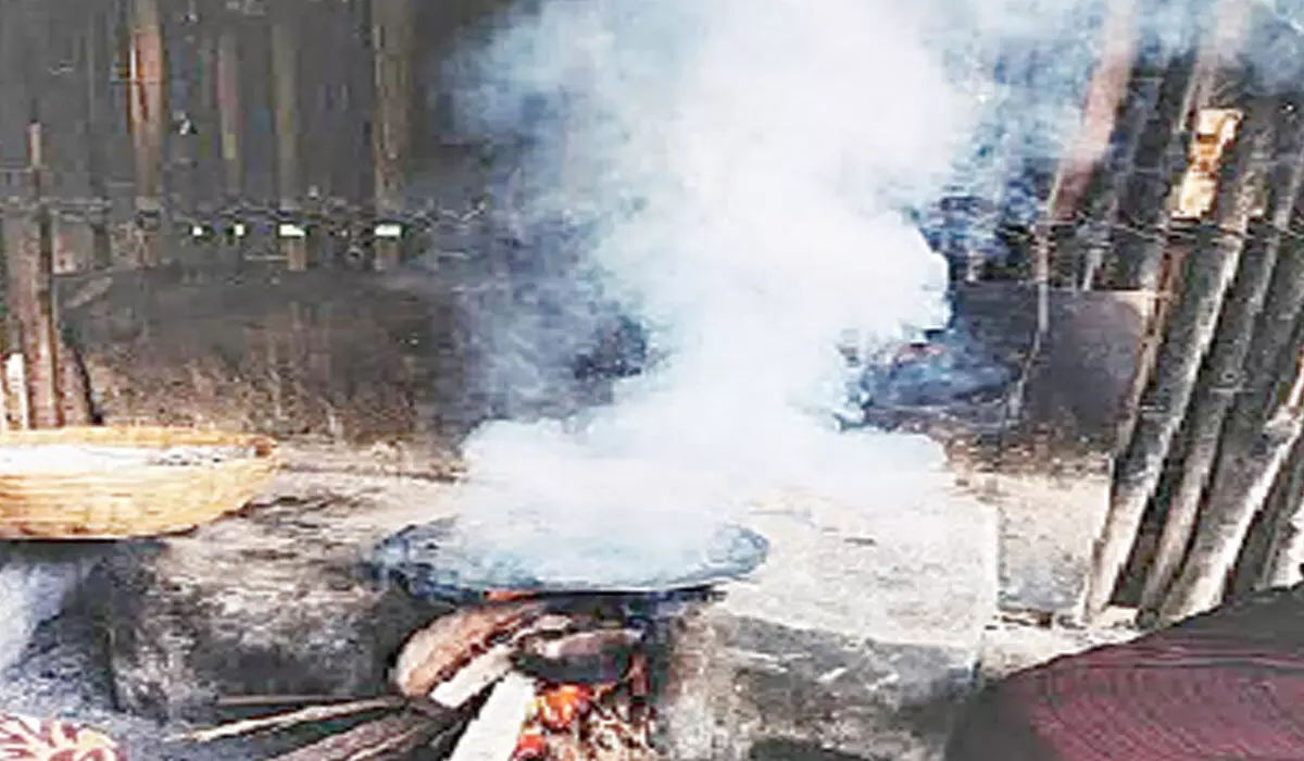 The burning of biomass produces high concentrations of respirable particulate matter, carbon monoxide,  nitrogen oxides, and formaldehyde, among other harmful gases and toxic organic compounds. Using biomass for cooking exacerbates household air pollution and its associated health problems