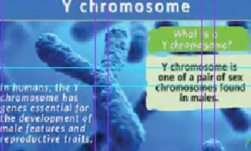 Breakthrough to help genetic discoveries