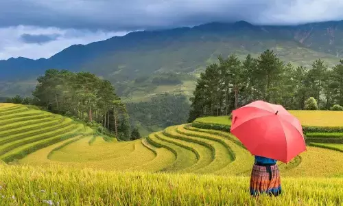 Discover India’s top 3 countrysides