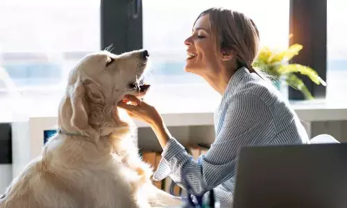 The curious case of canine companions