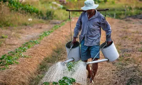 Avanti Feeds draws multi-pronged strategy for growth, to hold at least 51pc in pet care JV