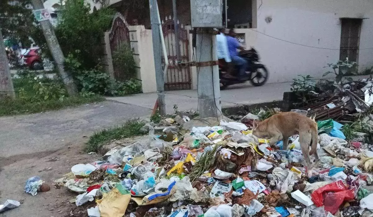 Garbage dumped on the road at AT Agraharam fourth lane in Guntur, that was not removed for the past few days